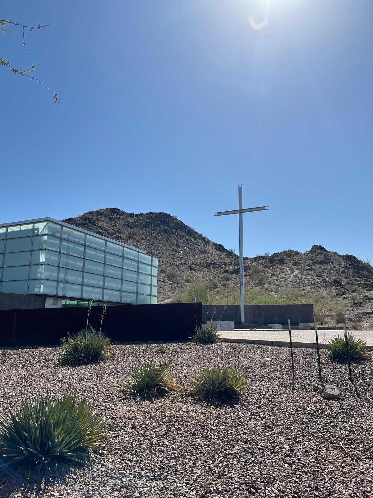 A congregation lifted in praise